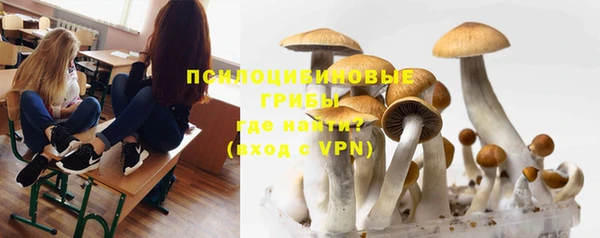 скорость Покачи