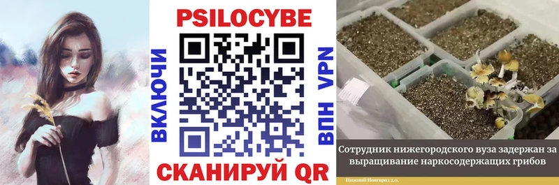 Псилоцибиновые грибы Magic Shrooms  Болохово 